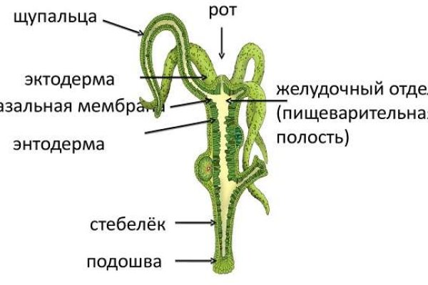 Даркнет заказ