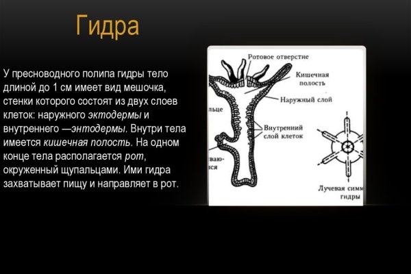 Скачать кракен тор